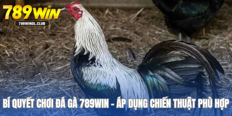 Nghiên cứu chiến thuật chơi phù hợp với riêng mình