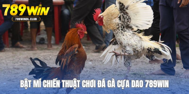 Bật mí kinh nghiệm phá đảo chọi kê cựa dao từ cao thủ